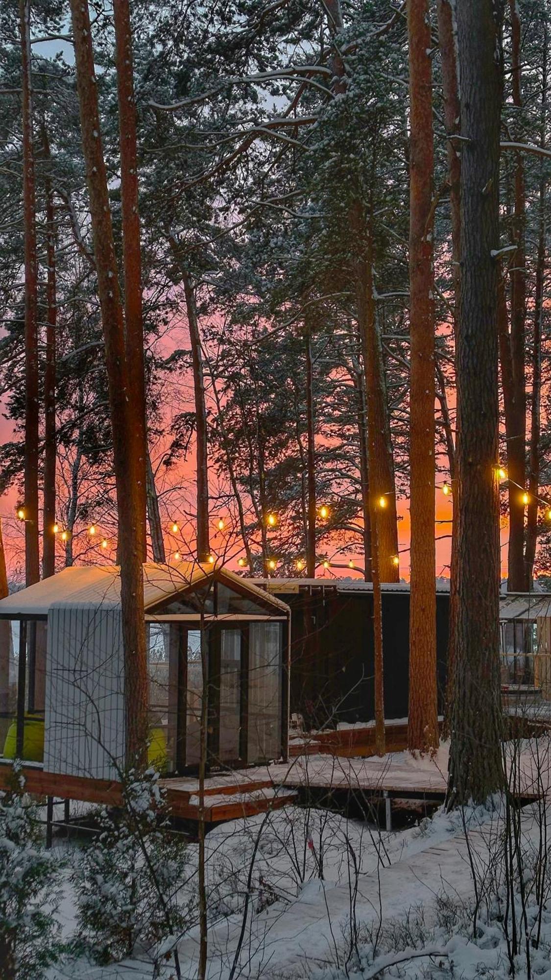 Gaujaclub - Our Bose And Bang&Olufsen Lofts On A Lake Gauja (Carnikava) Exterior foto