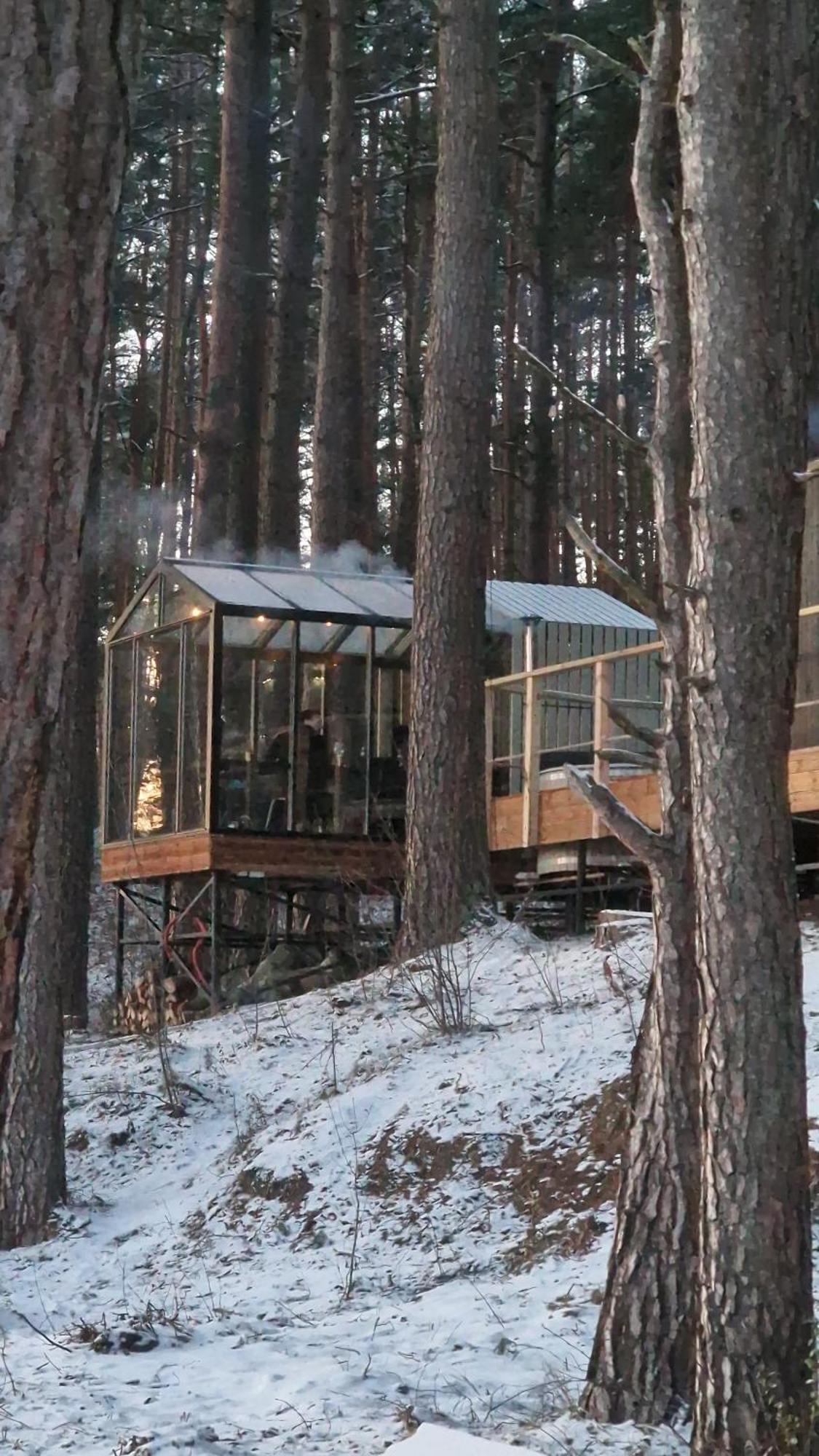 Gaujaclub - Our Bose And Bang&Olufsen Lofts On A Lake Gauja (Carnikava) Exterior foto